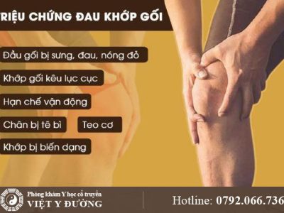 dau-khop-goi