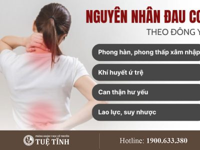 nguyen-nhan-dau-co