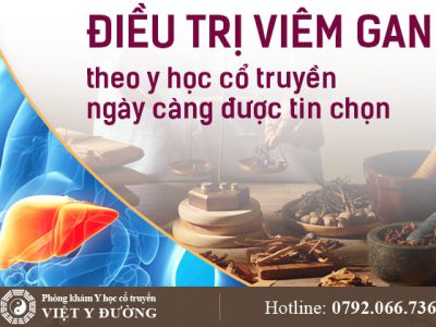 viem-gan